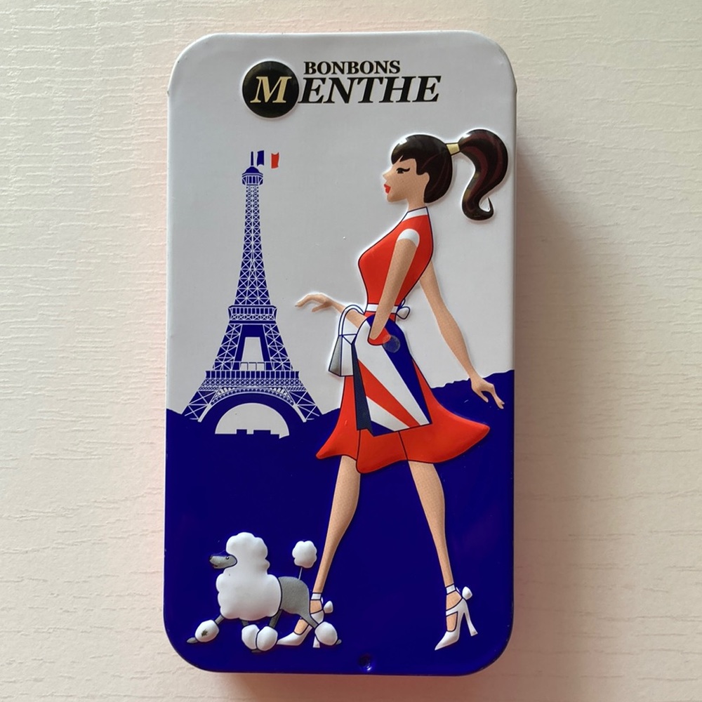 Metal Tin Box with Sliding Lid Paris France French Girl Poodle metal wallet